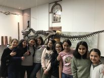 Unser Ausflug ins Senckenberg Museum