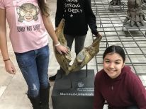 Unser Ausflug ins Senckenberg Museum