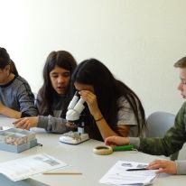 Projekttage zum Thema Müll im Jahrgang 5