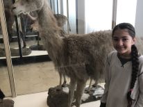 Unser Ausflug ins Senckenberg Museum