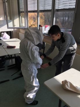 Projekttage "Politische Bildung": Bienensterben