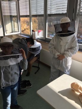 Projekttage "Politische Bildung": Bienensterben