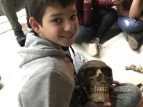 Unser Ausflug ins Senckenberg Museum