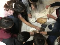 Unser Ausflug ins Senckenberg Museum