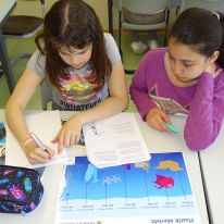 Projekttage zum Thema Müll im Jahrgang 5