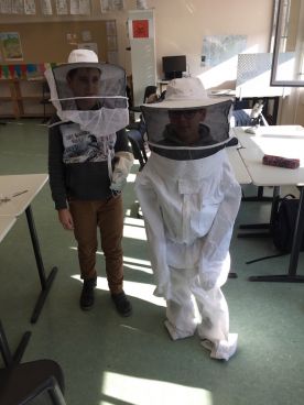 Projekttage "Politische Bildung": Bienensterben