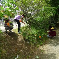 Projekttage zum Thema Müll im Jahrgang 5