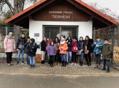 Projekttage "Politische Bildung": Tierschutz
