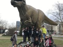 Unser Ausflug ins Senckenberg Museum